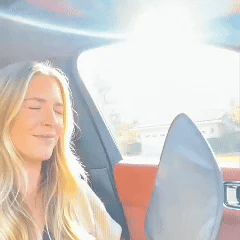 🔥Last Day 50% OFF 🔥 Static Cling Car Side Window Sun shade